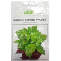 Кофейное дерево Арабика 1 г.