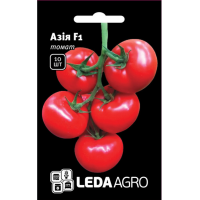 Азія F1 10 шт.