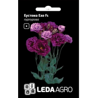 Эустома  Эхо F1 пурпурная  5 шт.