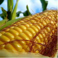 Солонянский  1 кг.