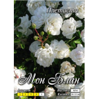  Мон Блан (вьющаяся) Премиум