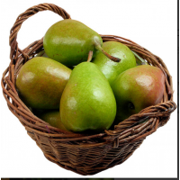  Ноябрьская 