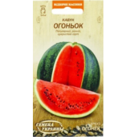  Огонек 2 гр.