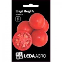 Шеди Леди  10шт.