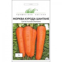 Курода Шантане  1 гр.