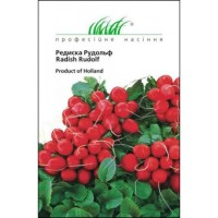  Рудольф 3 гр.