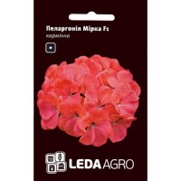 Пеларгония Мирка F1  5 шт. 