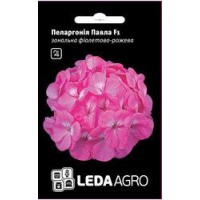 Пеларгония Павла F1 5 шт.