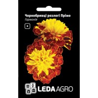  Бархатцы Примо Гармония 0,2 гр.