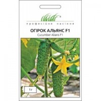 Альянс F1 1 г.