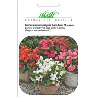  Бегония Бада Бинг F1 cмесь 10 шт.