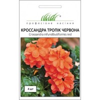  Кроссандра Тропик красная 4 шт. 