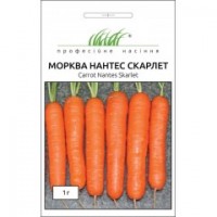  Нантес  Скарлет   1 гр.